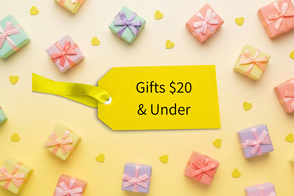 Gifts $20 and under